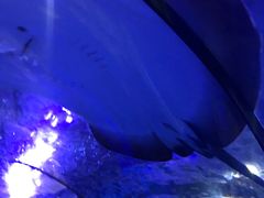 -台州海洋世界