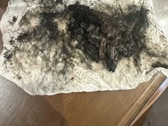 -御面斋精品面馆