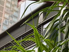 -粤香楼(新光里店)
