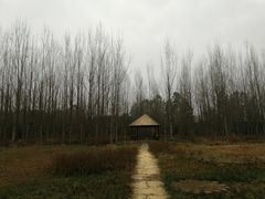 -白鹭湾湿地公园