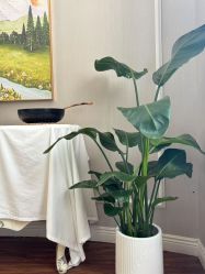 -MISSJANE简夫人美容定制中心