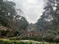 -岳麓山风景名胜区