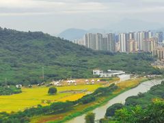 -风云岭森林公园