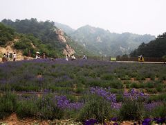 景点-云峰山自然风景区
