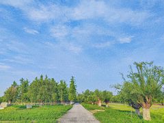 -汉长安城未央宫国家考古遗址公园