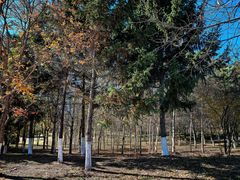 -长春世界雕塑园冰雪艺术天地