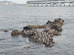 -黑石礁公园