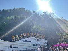 -西双版纳原始森林公园