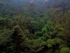 -青城山