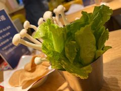 -星椰叻沙·椰浆鲜虾面(江南西店)