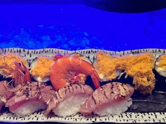 -盛宴自助餐厅(运达喜来登店)