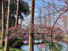 -浙江西子宾馆·瑶园咖啡厅