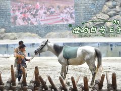 -七彩云南欢乐世界