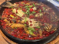 -老板恋上鱼(恒隆广场店)