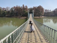 -东湖落雁景区