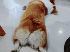-平行世界·猫咖(首经贸店)