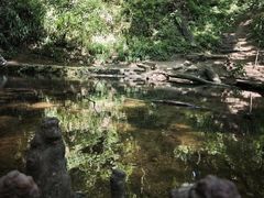 -波尔登森林公园