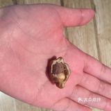 有一种习惯叫大众点评 记录生活的万千变化 遇见你