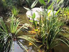 -聚缘堂·海鲜私房菜(松岭路店)
