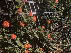 -太阳宫公园
