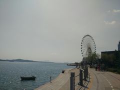-琴岛之星摩天轮