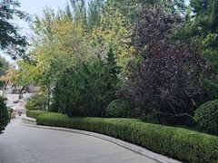 -大连植物园