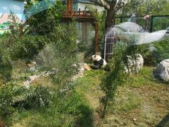 -临沂动植物园