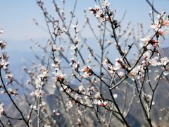 -圣莲山风景区