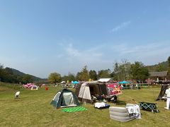 -黄陂区野村谷景区