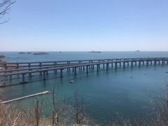 -星海湾跨海大桥