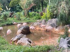 -昆明动物园
