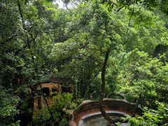 -天门沟九州驿站树上汤泉