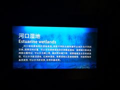 -上海长江河口科技馆