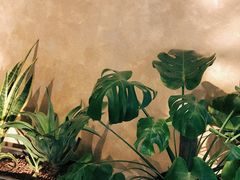 -Boboli Garden 波波里花园餐厅