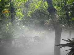 -呀诺达热带雨林