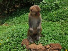 -海南热带野生动植物园