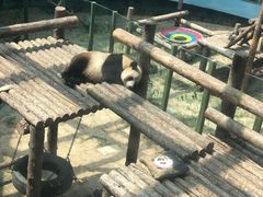 -大连森林动物园