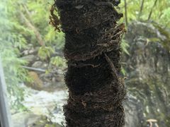 -和顺古镇