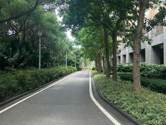 -昆明洲际酒店