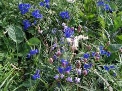 -白草畔自然风景区