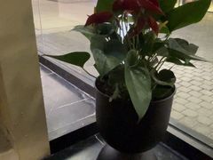 -涟LIAN·泰式按摩·MASSAGE·SPA(深业上城店)