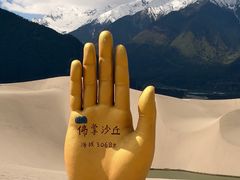 -佛掌沙丘