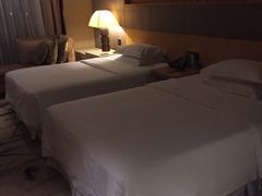 -西安赛瑞喜来登大酒店