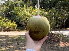 -中国科学院西双版纳热带植物园
