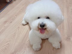 -宠物家(大兴旧宫店)