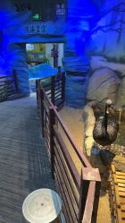 -酷嗒动物文化乐园(cutezoo西溪乐天城店)