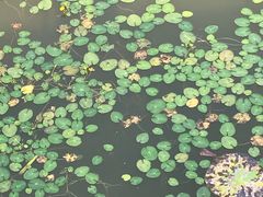 -东郊湿地公园
