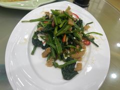 -尚品清汤羊肉