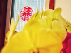 -青岛富力艾美酒店