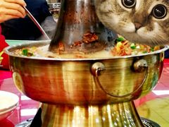 -南师大仙林校区东区食堂